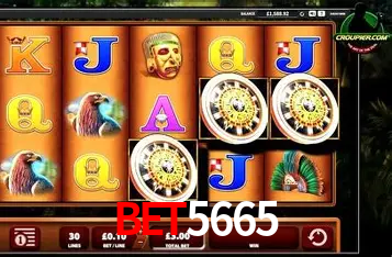 A Experiência Imersiva dos Cassinos Ao Vivo no bet5665